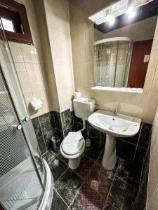 uma casa de banho com um WC, um lavatório e um chuveiro em Hotel Pin Azuga em Azuga