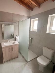 een badkamer met een toilet, een wastafel en een douche bij The Courtyard Episkopi Guest Houses in Episkopi Lemesou