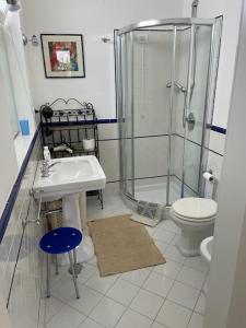 a bathroom with a shower and a sink and a toilet at villa timpone in Anacapri