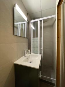 een badkamer met een wastafel en een douche bij Hôtel Broisin in Aix-les-Bains