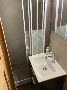 ein Bad mit einem Waschbecken und einer Dusche in der Unterkunft Initial by balladins, hôtel Broisin in Aix-les-Bains