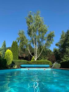 a swimming pool with a tree in the background at Luxury Resort Riverfront with Pool&Sports in Uvac +28 photos