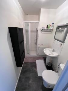 een badkamer met een toilet, een wastafel en een douche bij Grande maison avec 5 chambres in Saint-Omer