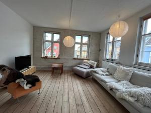 斯文堡的住宿－Bylejlighed i det gamle Svendborg，带沙发和电视的客厅