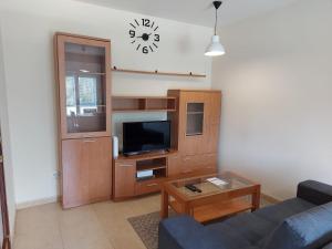 een woonkamer met een bank en een tv bij Apartamento Don Manuel 2 in Cuntis