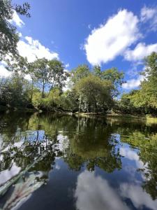 a river with trees and clouds in the water at Wethele Manor in Leamington Spa