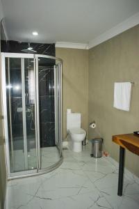W łazience znajduje się toaleta i przeszklony prysznic. w obiekcie Centrum Hotel w mieście Ankara