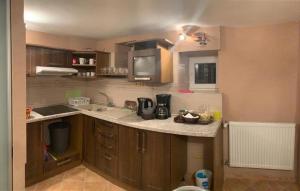 a kitchen with a sink and a counter top at Sýkorka in Ihráč