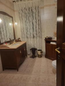 une salle de bain avec un lavabo, des toilettes et une douche dans l'établissement Elis' House, à Moriago della Battaglia 43 autres photos