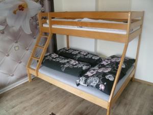 a couple of bunk beds in a room at Haus Adelheid in Weil am Rhein