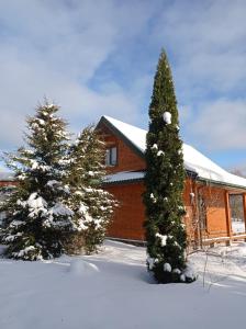 una casa con due alberi di Natale nella neve di Agroturystyka Przy Siole Budy a Białowieża