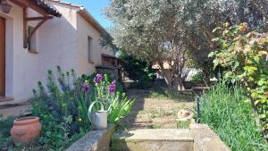 un chat assis dans un jardin à côté d'une maison dans l'établissement Villa 80 m2 jardin terrasse 3 chambres Provence, à Volx
