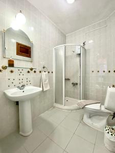 uma casa de banho com um chuveiro, um lavatório e um WC. em Akdeniz Pansiyon em Ekincik