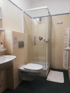 アーブラハームヘジにあるSZiGET23のバスルーム(シャワー、トイレ、シンク付)
