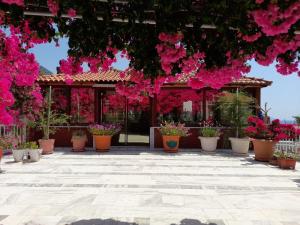 um jardim com flores cor-de-rosa no interior de um edifício em Akdeniz Pansiyon em Ekincik