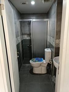 La salle de bains est pourvue de toilettes, d'une douche et d'un lavabo. dans l'établissement love 34 hotel istanbul, à Istanbul