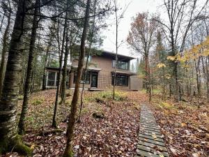 a house in the woods with a path in front of it at Cottage 61 des Cervidés in Eastman
