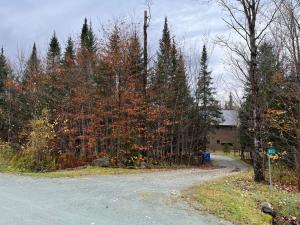 a dirt road next to a forest of trees at Cottage 61 des Cervidés in Eastman