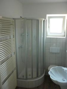 a bathroom with a shower and a sink at Ferienwohnung am Pfarrhof in Ziethen