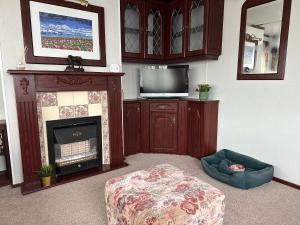 a living room with a fireplace and a tv at 49 Tay - The Cottage Caravan in Angus