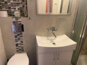 łazienka z umywalką i toaletą w obiekcie Willa Stenia Apartamenty w Wiśle