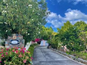a walkway in a garden with flowers and trees at Windsong Villa - Sleeps 8 Stunning Views in Cruz Bay +45 photos