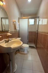 La salle de bains est pourvue d'un lavabo, de toilettes et d'une douche. dans l'établissement Hotel Du Parc, à Poza Rica de Hidalgo