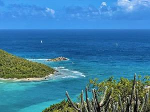 a view of the ocean with a cactus at Windsong Villa - Sleeps 8 Stunning Views in Cruz Bay