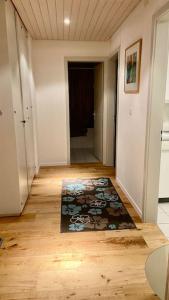 a hallway with a rug on the floor in a house at Gesamte Wohnung in Zurich in Kloten