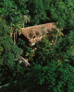 an overhead view of a house in the jungle at ZÂRIA in El Valle