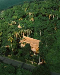an overhead view of a house with palm trees and a road at ZÂRIA Hotel & Retreat Center in El Valle +24 photos