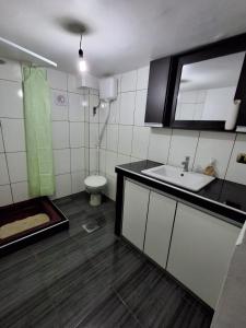 ein Bad mit einem Waschbecken und einem WC in der Unterkunft Backpacker Oruro in Oruro