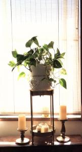 a plant sitting on top of a stand with candles at 8-17 Nomura Motomachi - House / Vacation STAY 1894 in Hirakata