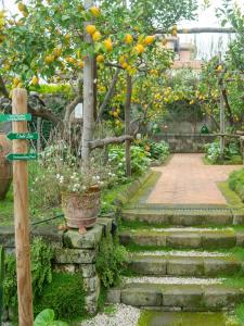 Ogród w obiekcie Suite Lidia B&B