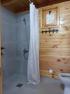 uma casa de banho com chuveiro e cortina de chuveiro em Vila Isidora em Berovo