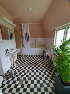 a bathroom with a black and white checkered floor at Lisebergs lyx Villa / Svenska Mässan / Ullevi in Gothenburg