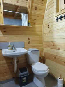 uma casa de banho em madeira com um WC e um lavatório em Vila Isidora em Berovo