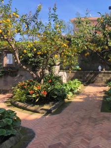 Ogród w obiekcie Suite Lidia B&B