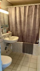 a bathroom with a sink and a shower curtain at Gesamte Wohnung in Zurich in Kloten