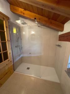 a shower with a glass door in a bathroom at Casa Vacanze Grand-Haury da Andrea in Arvier