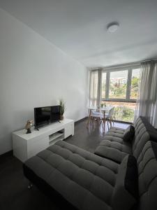 ein Wohnzimmer mit einem Sofa, einem TV und einem Tisch in der Unterkunft Apartamento Verdial 2 in La Cala del Moral