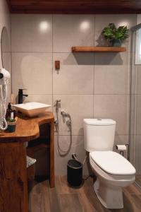 a bathroom with a toilet and a sink at Refúgio Fortaleza - Cabana Amora in Cambara do Sul +8 photos