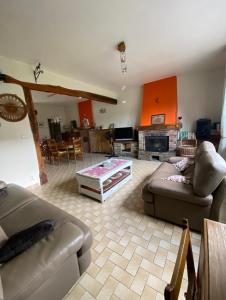 sala de estar con 2 sofás y chimenea en Gîte Au Corti Pierros, en Houyet