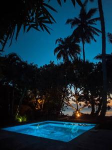 a swimming pool at night with palm trees at Villa Mitirapa in Tohautu