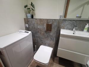 a bathroom with a white toilet and a sink at Apartament Parkowe Love in Chorzów