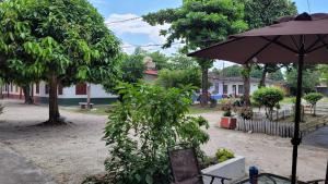 an umbrella sitting next to a tree in a courtyard at Hogar Marujita in Iquitos