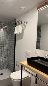 uma casa de banho com um lavatório, um WC e um chuveiro em Matriz 55, Hostel & Suites em Ponta Delgada