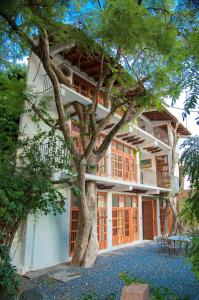 a building with a tree in front of it at Casona Colonial de la Misión in Taxco de Alarcón