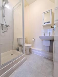 a bathroom with a shower and a toilet and a sink at The Greenwich Pensioner Guesthouse in London