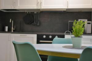 a kitchen with a table with a potted plant on it at A Supressa du Capua in Sestri Levante +10 photos